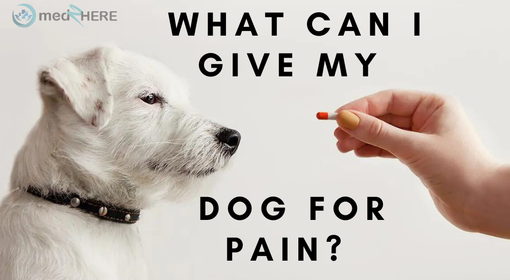 what-can-i-give-my-dog-for-pain